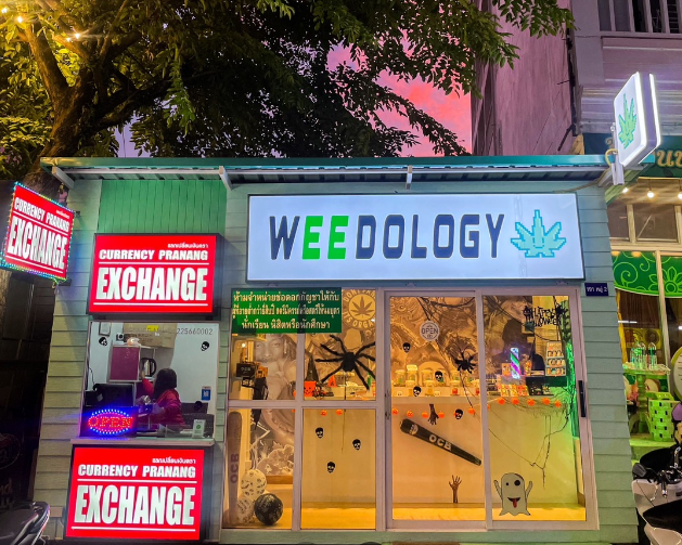 weed aonang